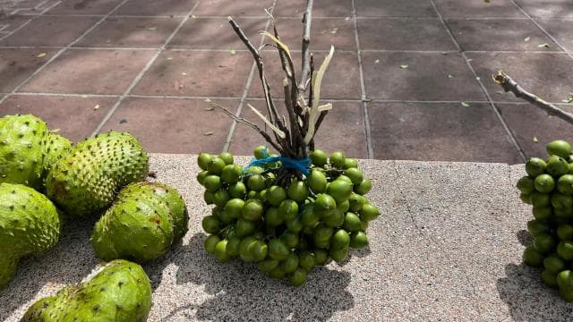 From San Juan: Full-Day Cultural Road Trip to Ponce - Photo 5 (Gallery view)