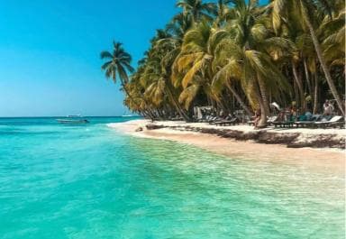 Santo Domingo: Saona Island Day Trip with Lunch and Drinks - Photo 5 (Gallery view)