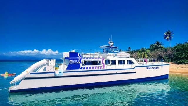 From Fajardo: Catamaran Beach Excursion with Lunch - Photo 5 (Gallery view)