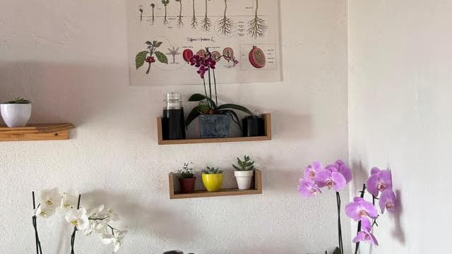 Bitzu Coffee Tour: Autentický kostarický zážitek. - Photo 5 (Gallery view)