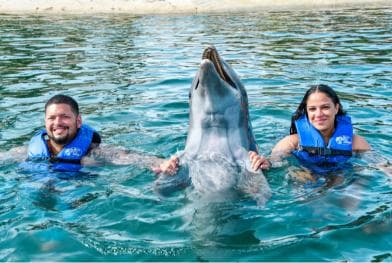 Puerto Plata: Ocean World Adventure Park Swim with Dolphins - Dominican Republic