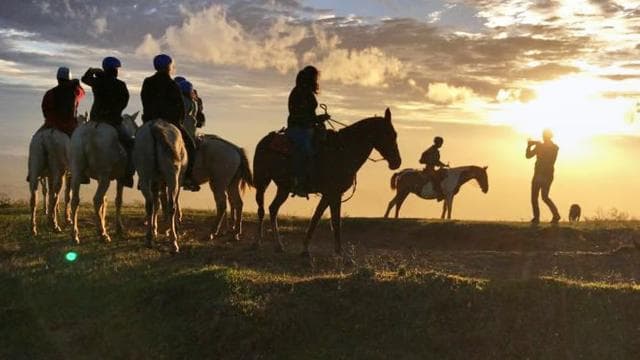 Monteverde: Horseback Riding Tour - Photo 5 (Gallery view)