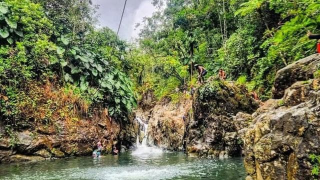 P-up/ San Juan: El Yunque Half-Day Tour with Transportation - Photo 4 (Gallery view)