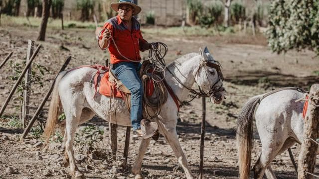 Horseback riding half day: Horsebackriding+ lunch+ hotspring - Photo 4 (Gallery view)