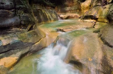 Puerto Plata: Damajagua Waterfalls Full-Day Adventure - Photo 4 (Gallery view)