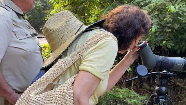 Manuel Antonio National Park Full Wildlife - Photo 3 (Gallery view)