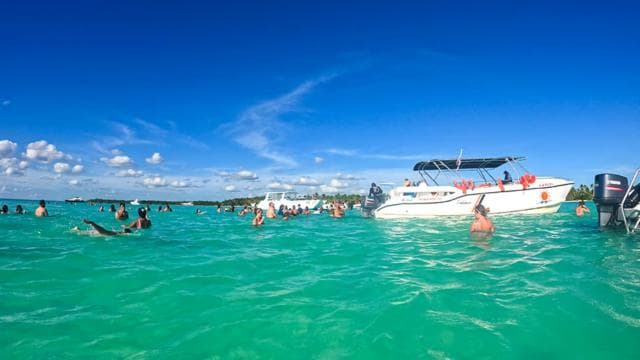 Paradisiacal Getaway: Soana Island from Punta Cana - Dominican Republic