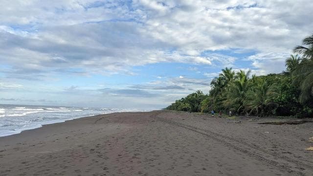 Cahuita Nemzeti Park: Cahuita Limon legjobb programjai - Photo 3 (Gallery view)