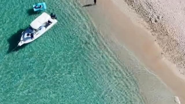 Fajardo: alquiler de barco privado de medio día a Icacos o Palomino - Photo 3 (Gallery view)