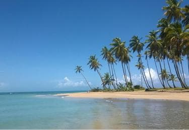 Excursion Round Mountain and Virgin Beach from Punta Cana - Photo 2 (Gallery view)
