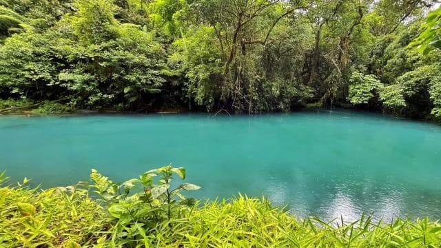 Rio Celeste: Lasy deszczowe, leniwce i dzika przyroda. - Photo 2 (Gallery view)