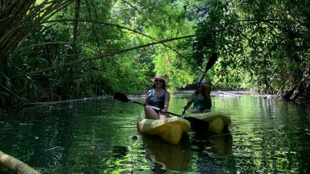 CARIBBEAN EXPERIENCE - PUNTA UVA - Photo 5 (Gallery view)