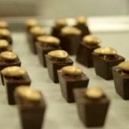 Private: Cacao Plantation Tour with Lunch & Tasting - Photo 3 (Gallery view)