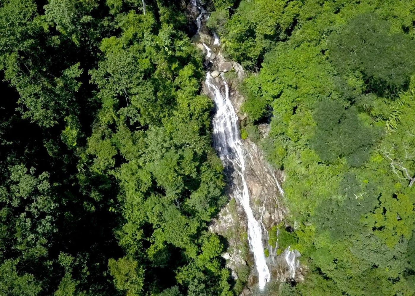 La Cuba WATERFALL RAPPELLING and La Planta GIANT NATURAL POOL from MEDELLIN - Photo 4 (Gallery view)