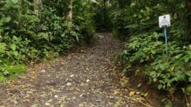 La Fortuna Volcano Hike El Silencio Trail - Photo 3 (Gallery view)