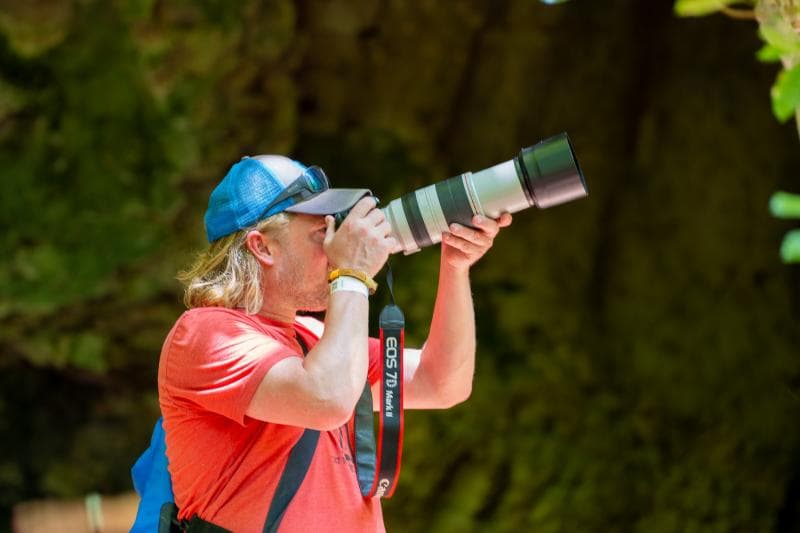 Private Birdwatching Tour from Punta Cana to Los Haitises National Park - Photo 2 (Gallery view)