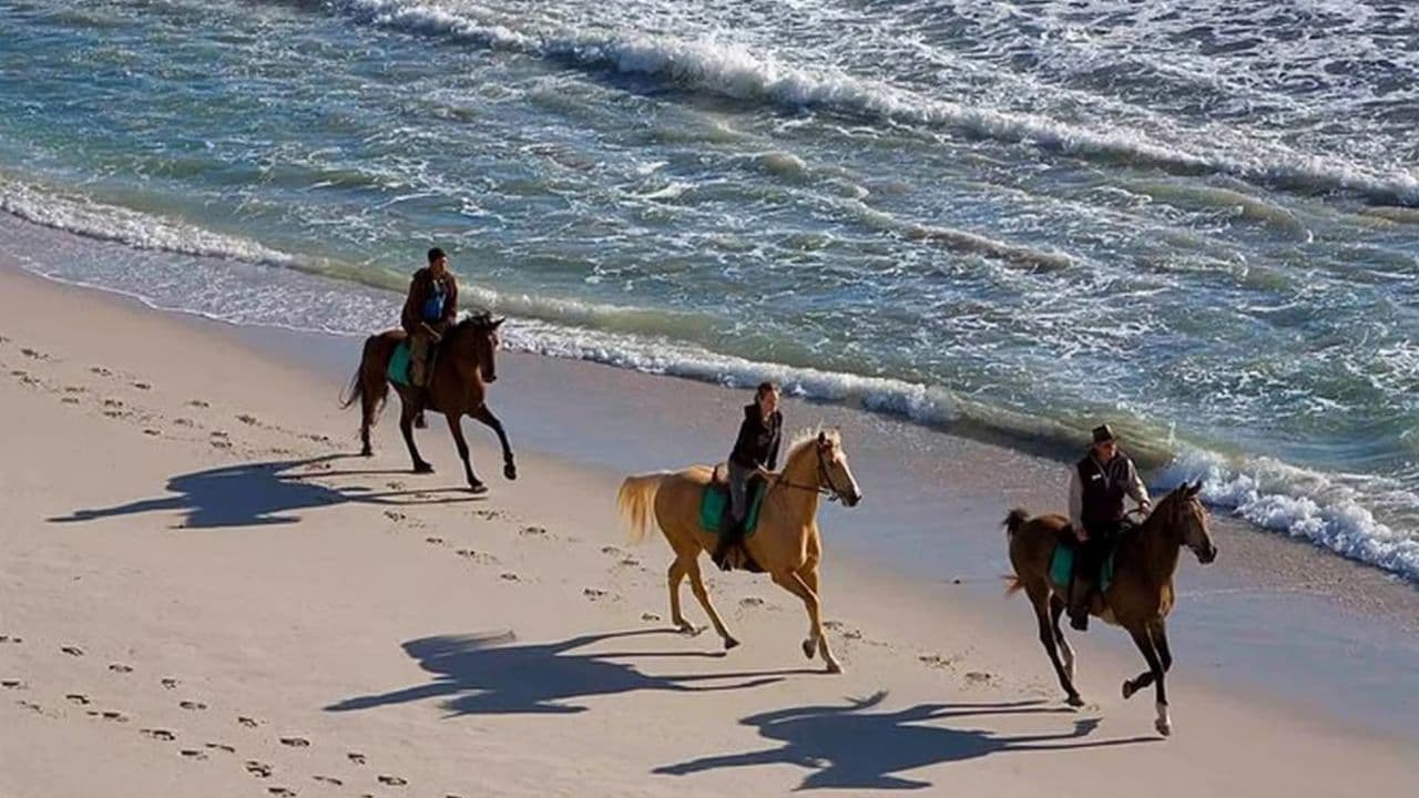 Puerto Plata: 2-Hour Horseback Ride on the Beach - Photo 3 (Gallery view)