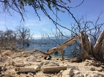 Barahona : visite découverte du lac Enriquillo - Photo 2 (Gallery view)