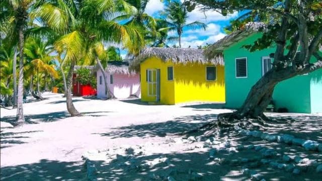 La Romana: Catalina Island Day Trip with Lunch & Drinks - Photo 3 (Gallery view)