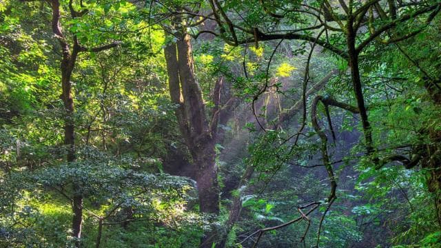 Private Tour Diria National Park Unspoken Hiking and Nature - Photo 5 (Gallery view)