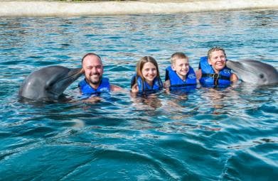 Puerto Plata: Ocean World Adventure Park Swim with Dolphins - Photo 3 (Gallery view)