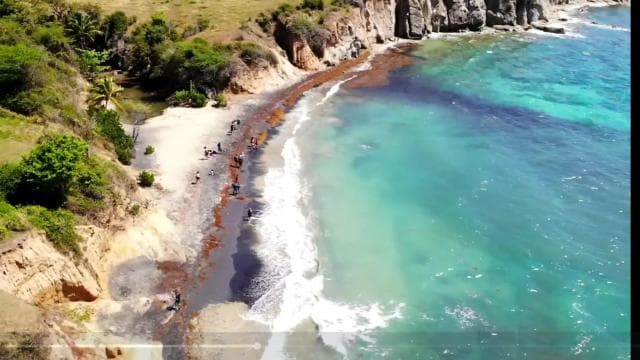Vieques Adventure by Ferry from Ceiba. - Photo 4 (Gallery view)