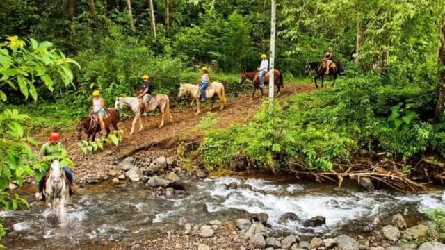 Jaco: Rainforest Horseback Ride to El Encanto Waterfall - Photo 3 (Gallery view)