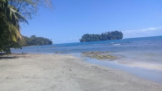 Manzanillo: Dolphin watching and Punta Mona Beach - Photo 2 (Gallery view)