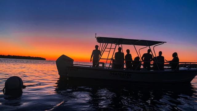 La Parguera: Sunset and Biobay or Late Night Biobay Cruise - Dominican Republic