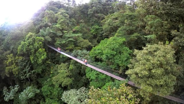 Půldenní prohlídka visutých mostů Arenal z La Fortuna - Dominican Republic