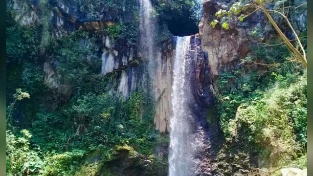 Tamarindo: Zip Line, Horseback Riding & Natural Spa Day Tour - Dominican Republic