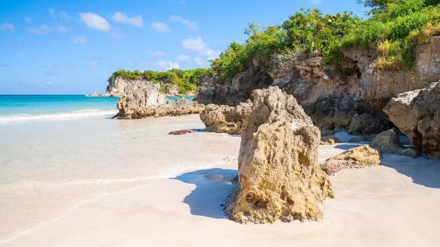 Doświadczenie surfingowe w Punta Cana: Surfuj na Dominikanie - Photo 5 (Gallery view)