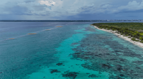 蓬塔卡纳出发的卡塔利娜岛：全包，比 Saona 更独特 - Photo 2 (Gallery view)