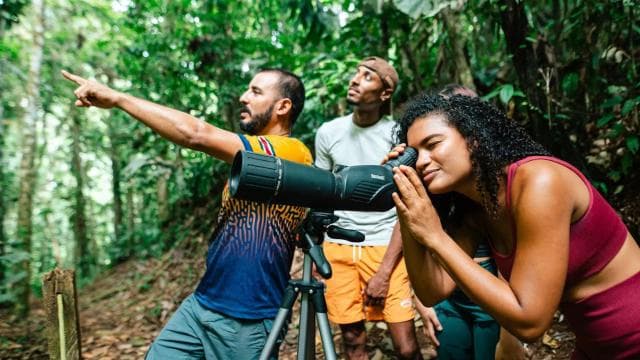 Puerto Viejo Limón: Birdwatching Tour at Nativo Park - Dominican Republic