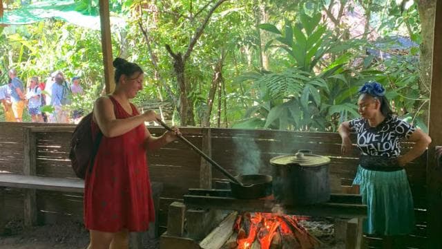 Parque Nacional Cahuita+Tour Chocolate Bribri+Tour Cascadas+Almuerzo - Photo 3 (Gallery view)