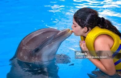 Punta Cana: Dolphin Explorer Park Entry, Swim, or Encounter - Photo 2 (Gallery view)