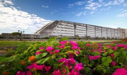 From Santo Domingo: Full day Historical Tour with Lunch - Dominican Republic
