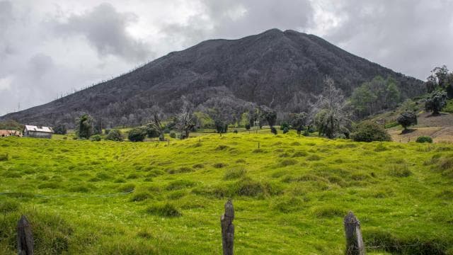 From San Jose: Secrets of Guayabo & Irazú Volcano - Photo 3 (Gallery view)