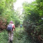 27 Waterfalls Tour with Entrance Fee & Lunch - Photo 5 (Gallery view)