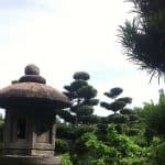 Santo Domingo: Natural Treasures of the City - Photo 4 (Gallery view)