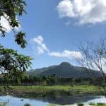 Puerto Plata Off-Road ATV Adventure - Photo 4 (Gallery view)