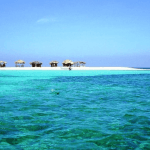 Cayo Arena: Cennet Adası Turu Sosua veya Cabarete - Photo 2 (Gallery view)