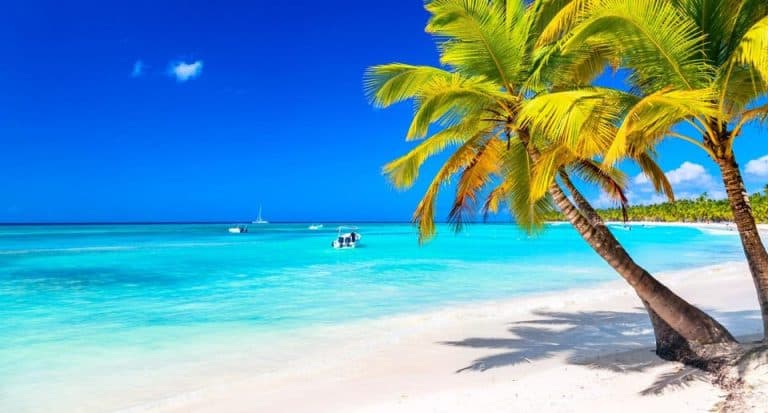 Punta Cana: Boat Tour to Isla Saona, Open Bar & Buffet Lunch - Photo 3 (Gallery view)