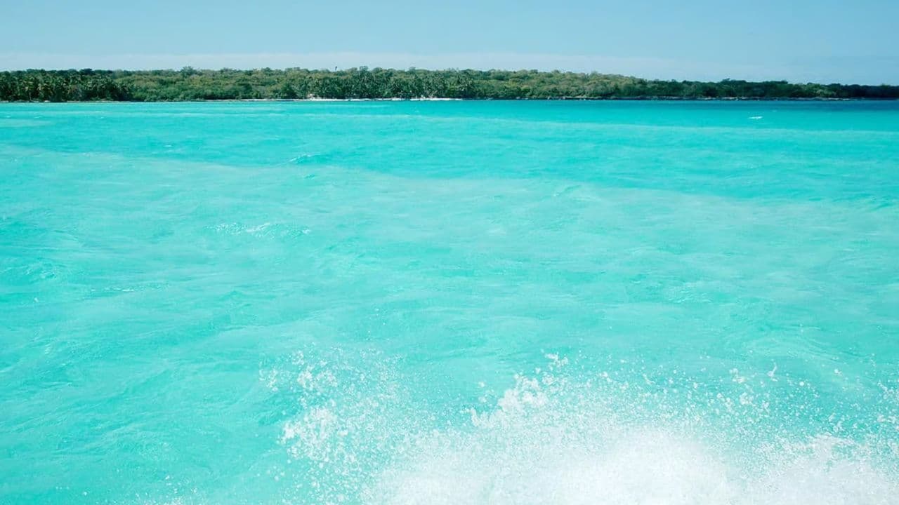 From Punta Cana: Zip Line Canopy Adventure Tour with Pickup - Photo 3 (Gallery view)