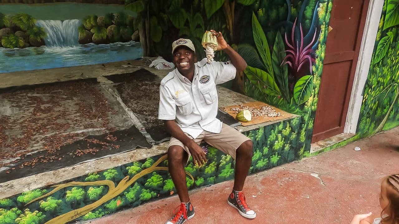 Punta Cana: Half-day tour Monkey Land Safari Tour - Photo 2 (Gallery view)