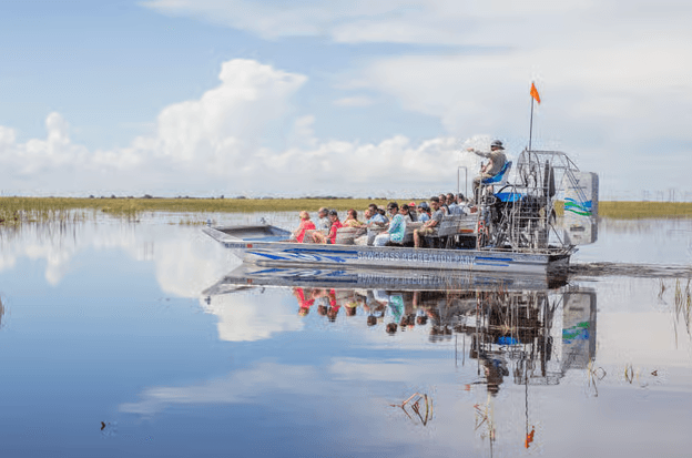 Miami: Everglades Airboat, Wildlife Exhibit & Roundtrip Bus - Photo 4 (Gallery view)