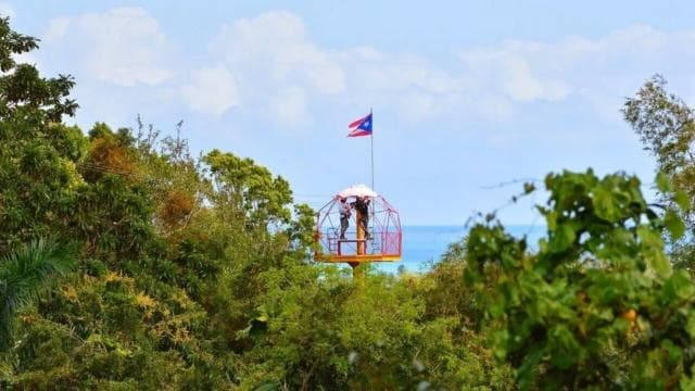 Zo San Juan: Dobrodružná prehliadka Zipline Canopy - Photo 2 (Gallery view)