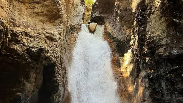 Rincon de la Vieja: La Leona Waterfall Private Tour - Photo 2 (Gallery view)