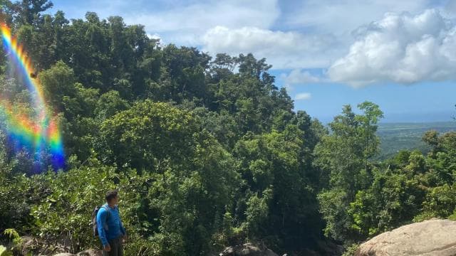 El Yunque: Hidden Off The Path Waterfall Hike w/ Transport - Photo 4 (Gallery view)