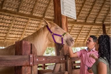 Punta Cana: Eco Park Safari Adventure - Photo 3 (Gallery view)